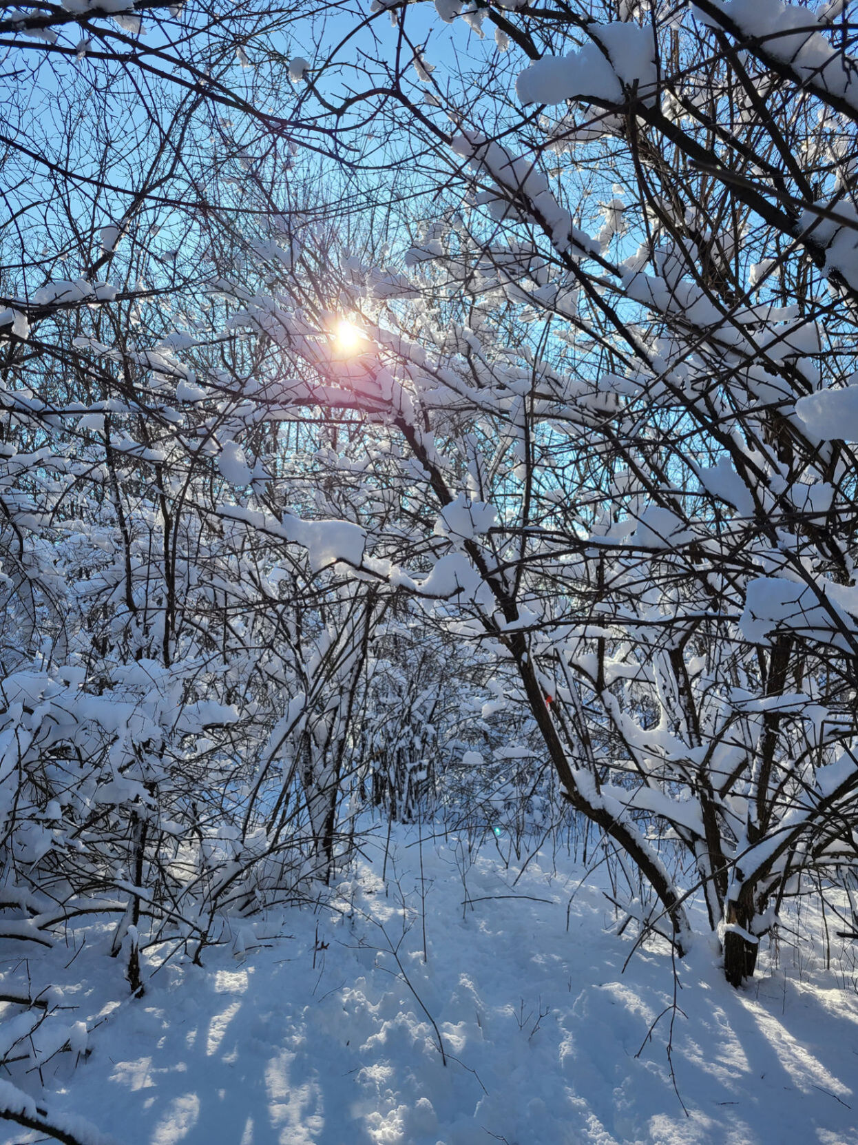 020421-kn-en-photooftheday